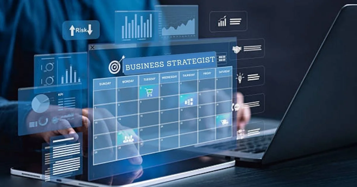 business strategist