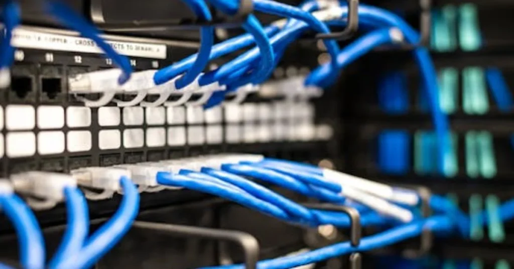 Blue ethernet cables plugged into rack-mounted network switch showing physical node connections